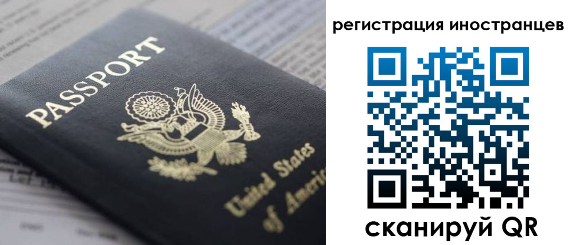 регистрация в Александрове